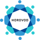 Horovod Training in Bolivia