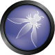 Cursos de OWASP en Bolivia