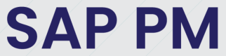 Category for SAP PM Training in Bolivia